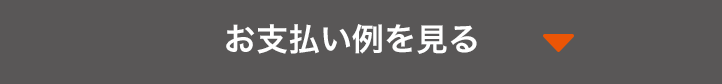 お支払い例を見る