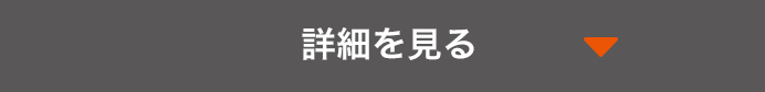 詳細を見る