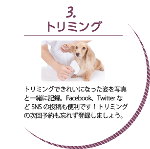 3.トリミング:トリミングできれいになった姿を写真と一緒に記録。Facebook、TwitterなどSNSの投稿も便利です!トリミングの次回予約も忘れず登録しましょう。