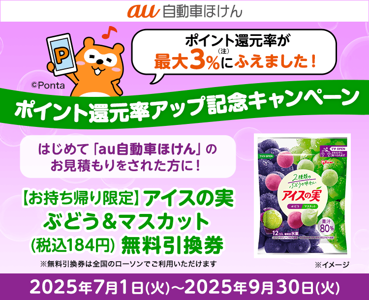au自動車ほけん豪華賞品が当たるキャンペーン！