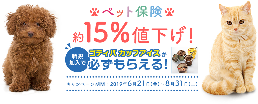 ペット保険15%値下げ！ゴディバ カップアイス必ずもらえる! キャンペーン期間：2019年6月21日(金)～8月31日(土)