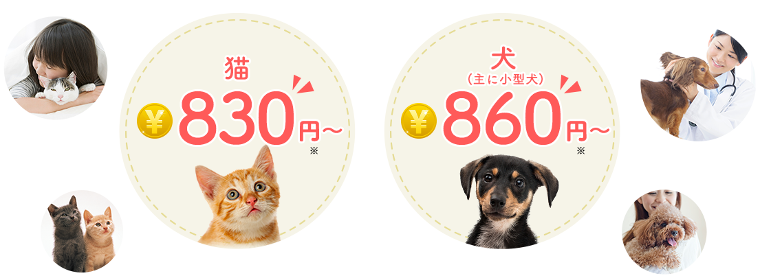 猫830円～犬(主に小型犬)860円～