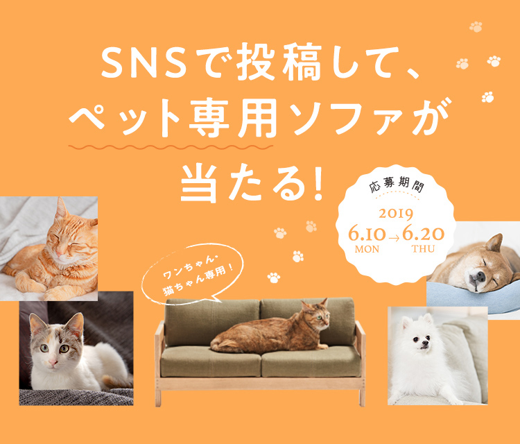 SNSで投稿して、ペット専用ソファが当たるキャンペーン