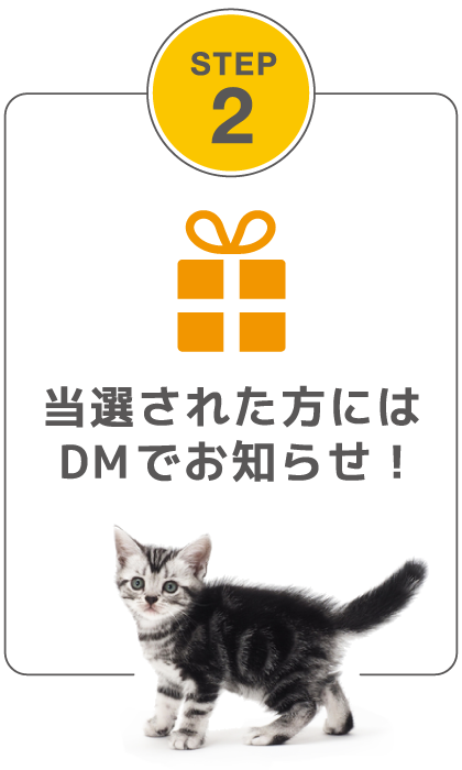 選された方にはDMでお知らせ！