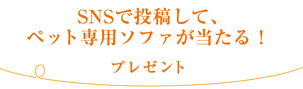 SNSで投稿して、ペット専用ソファが当たる！プレゼント