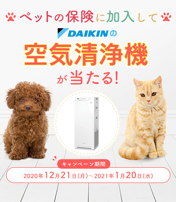 ペットの保険に加入してDAIKINの空気清浄機が当たる！