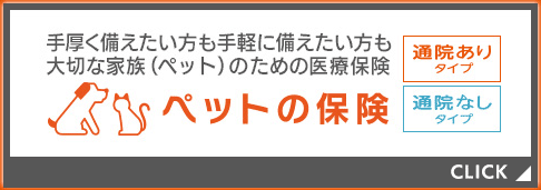 自転車 保険 au 保険金額と保険料｜自転車保険ならau損保の「Bycle（バイクル）」