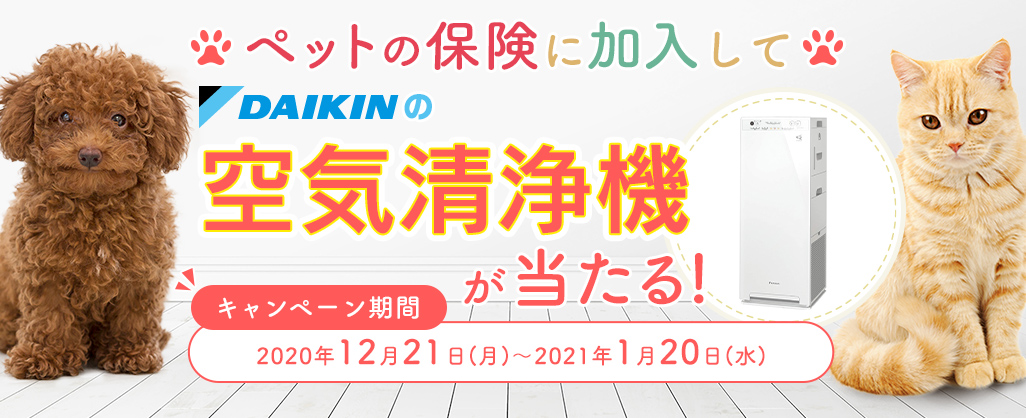 キャンペーン「『ペットの保険』に加入して、空気清浄機が当たる！」開始