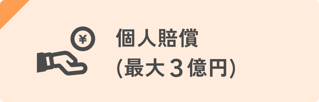 個人賠償(３億円)