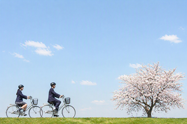 中学生 自転車 保険