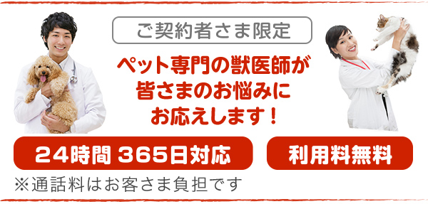 ご契約さま限定