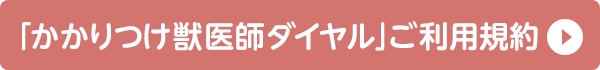 ダイヤルのご利用規約