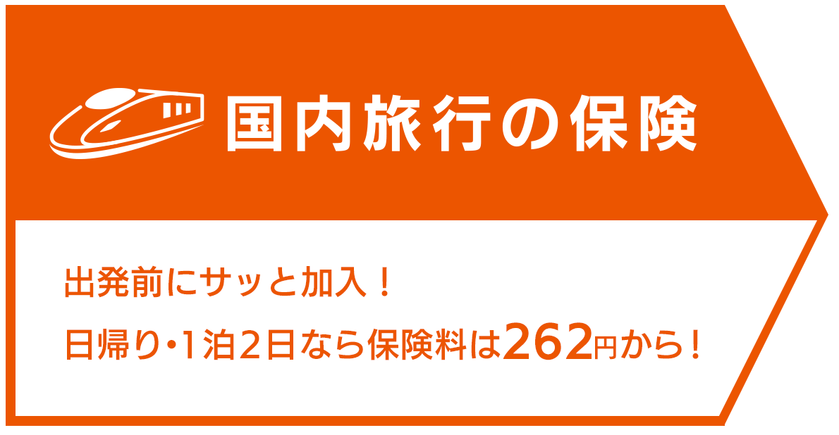 国内旅行保険