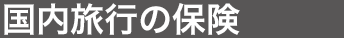 国内旅行の保険