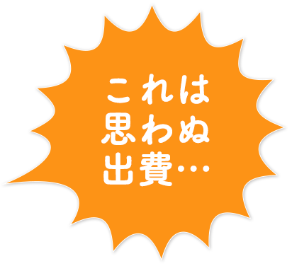 これは思わぬ出費…