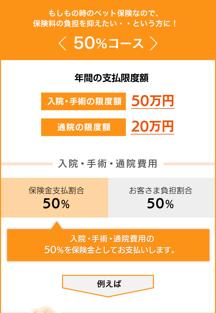 50%コース