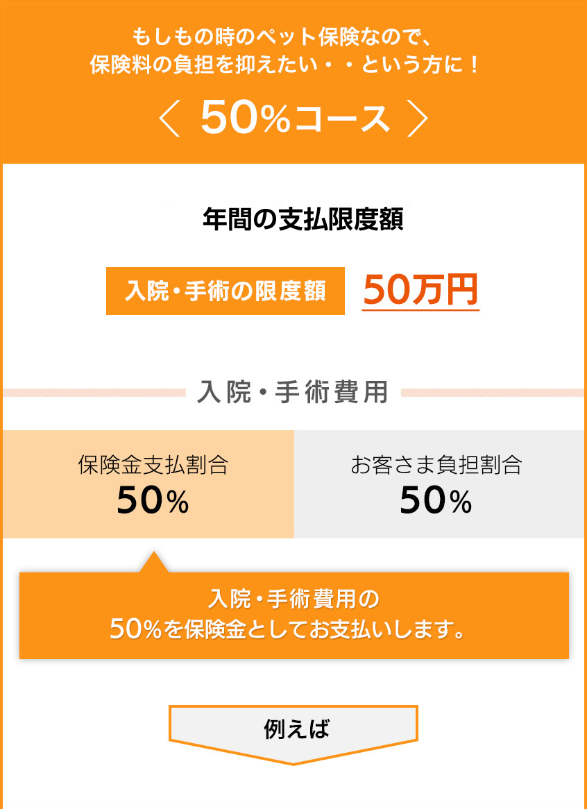 50%コース