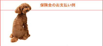70%コース