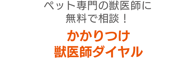 かかりつけ獣医師ダイヤル