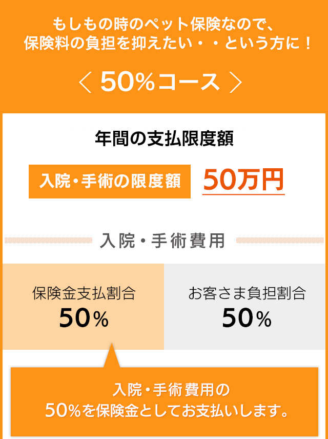 50%コース