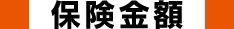 保険金額