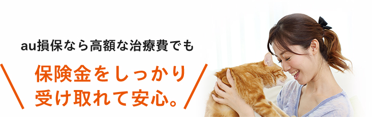 保険金をしっかり受け取れて安心。