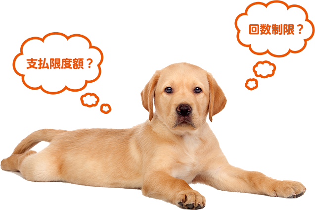 支払限度額?回数制限?