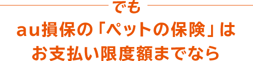 でもau損保の「ペットの保険」はお支払い限度までなら