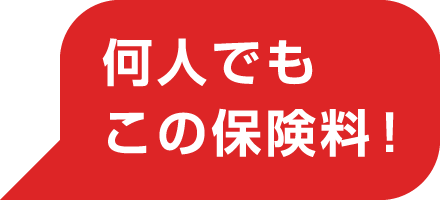 何人でもこの保険料！