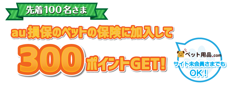 先着100名さま au損保のペットの保険に加入して300ポイントGET！