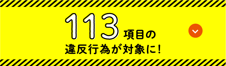 113項目の違反行為が対象に！