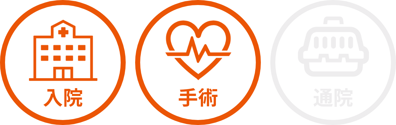 補償範囲 入院・手術