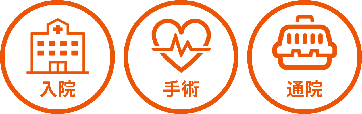 補償範囲 入院・手術・通院