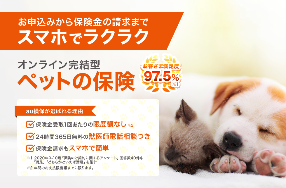 お申し込みから保険金支給までスマホでラクラク ペットの保険