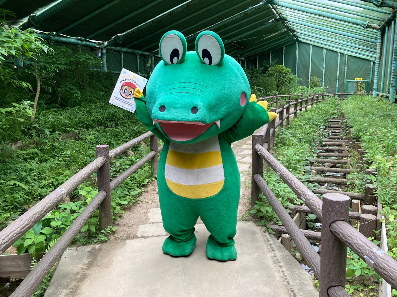マチカネくん