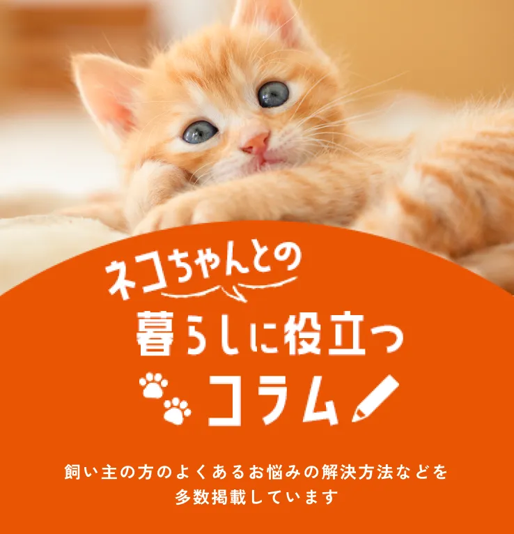 ネコちゃんとの暮らしに役立つコラム 飼い主の方のよくある悩みの解決方法などを多数掲載しています。