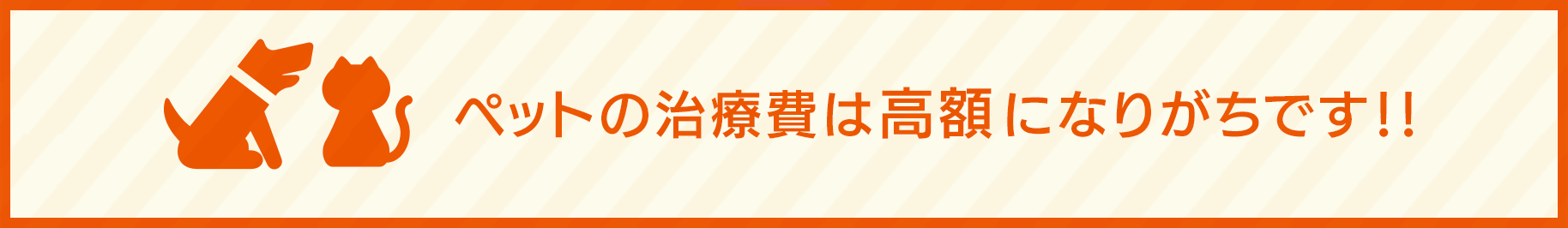 ペットの治療費は高額になりがちです!!