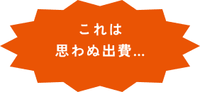 これは思わぬ出費...