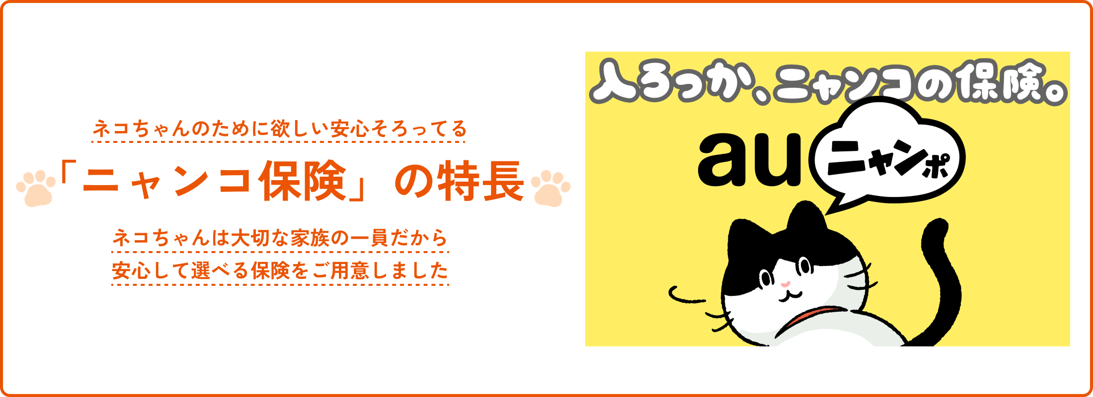 ネコちゃんのために欲しい安心そろってる 「ニャンコ保険」の特長 ネコちゃんは大切な家族の一員だから安心して選べる保険をご用意しました 入ろっか、ニャンコの保険。 auニャンポ