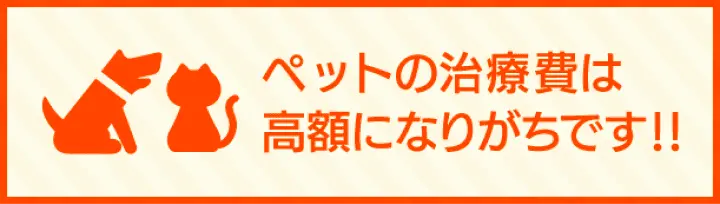 ペットの治療費は高額になりがちです！！