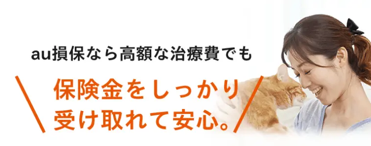 au損保なら高額な治療費でも保険金をしっかり受け取れて安心。