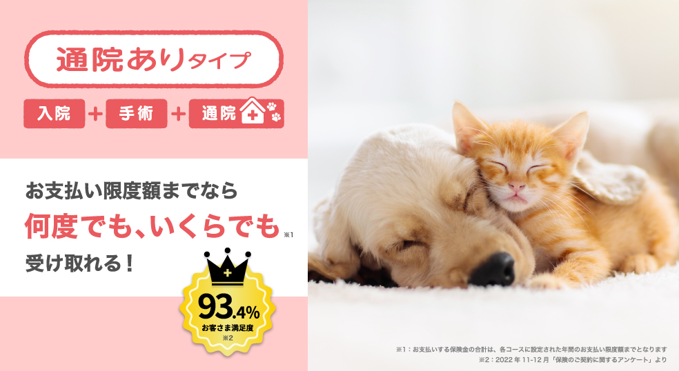 ペットの保険