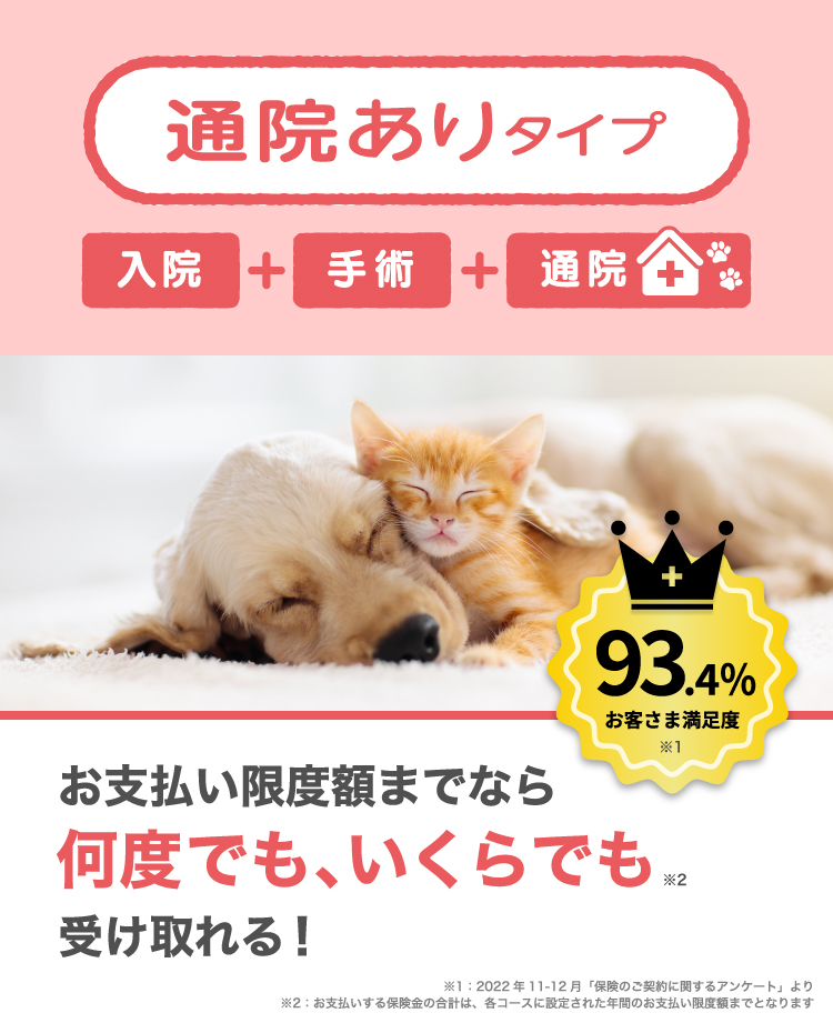 ペットの保険