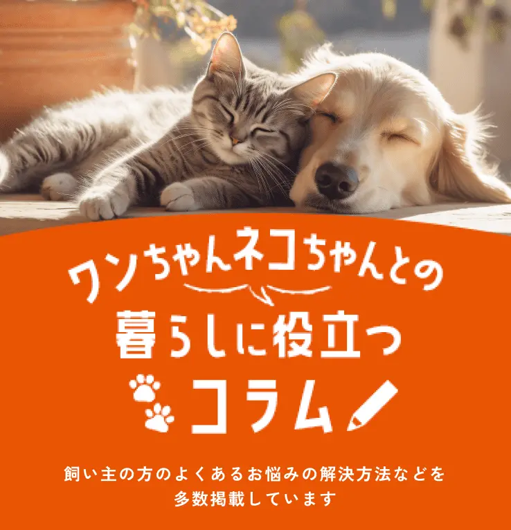 ワンちゃんネコちゃんとの暮らしに役立つコラム　飼い主の方のよくあるお悩みの解決方法などを多数掲載しています