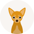 au損保