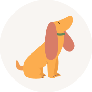 犬の治療事例